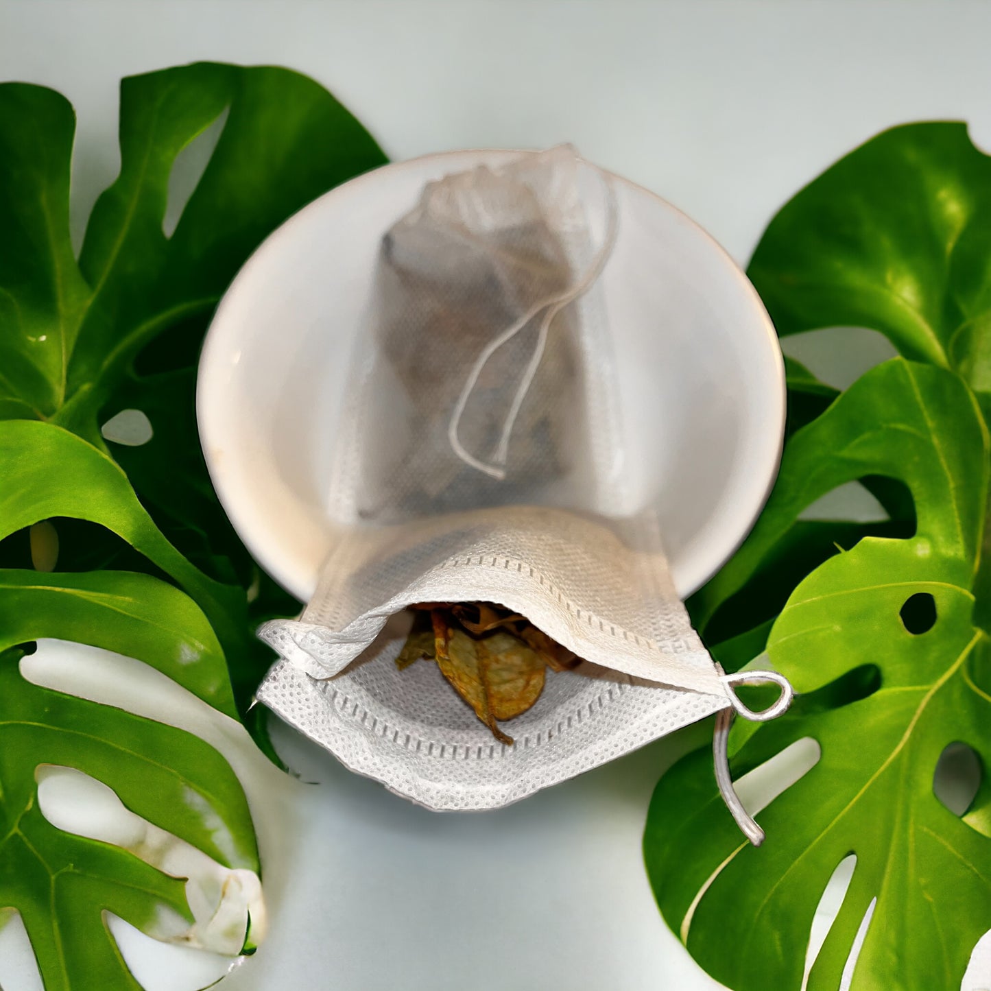 Soursop Leaves